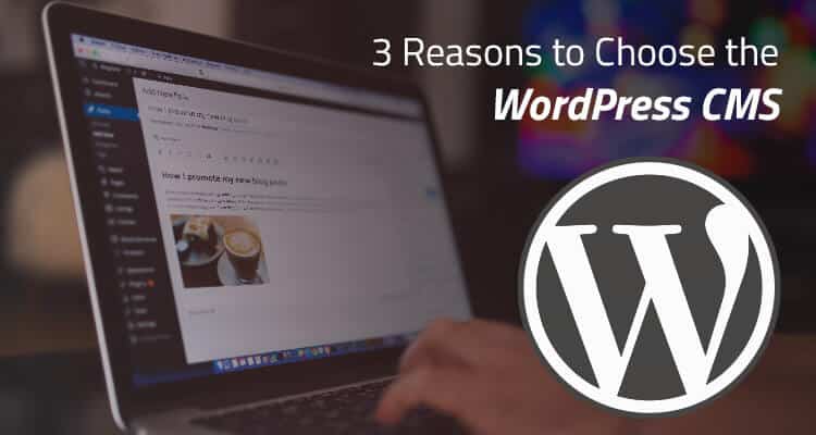 a person typing on a laptop with the words 3 reasons to choose the best wordpress cms