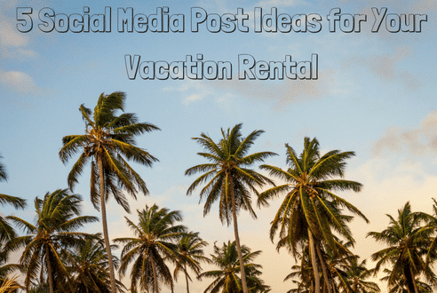 palm trees with the words social media post ideas for your vacation rental