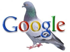 a pigeon sitting on top of the google logo