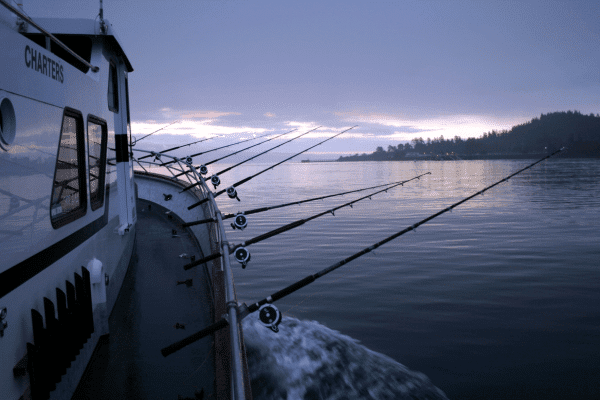 fishing rods are lined up on the bow of a boat